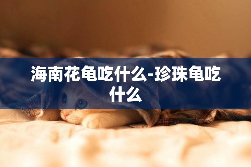 海南花龜吃什么-珍珠龜吃什么