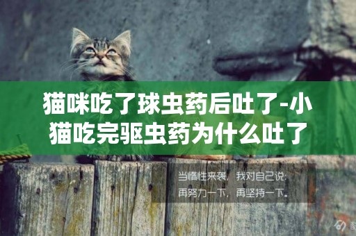 貓咪吃了球蟲藥后吐了-小貓吃完驅蟲藥為什么吐了