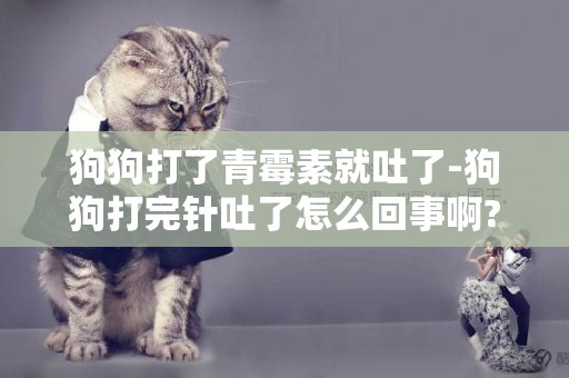 狗狗打了青霉素就吐了-狗狗打完針吐了怎么回事啊????