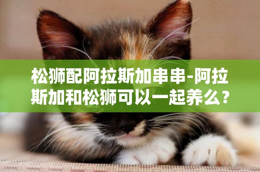 松獅配阿拉斯加串串-阿拉斯加和松獅可以一起養么？
