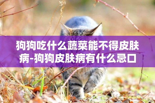 狗狗吃什么蔬菜能不得皮膚病-狗狗皮膚病有什么忌口嗎？