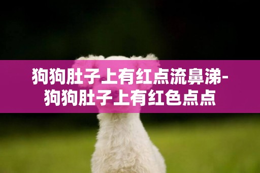 狗狗肚子上有紅點流鼻涕-狗狗肚子上有紅色點點