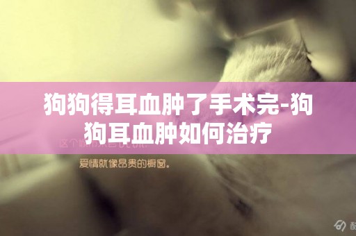 狗狗得耳血腫了手術完-狗狗耳血腫如何治療