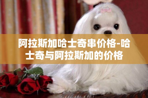 阿拉斯加哈士奇串價格-哈士奇與阿拉斯加的價格