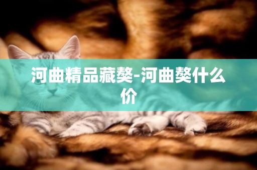 河曲精品藏獒-河曲獒什么價