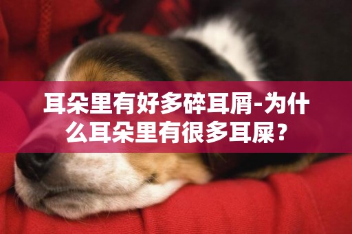 耳朵里有好多碎耳屑-為什么耳朵里有很多耳屎？