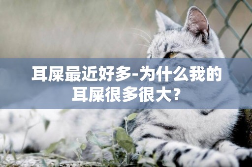 耳屎最近好多-為什么我的耳屎很多很大？