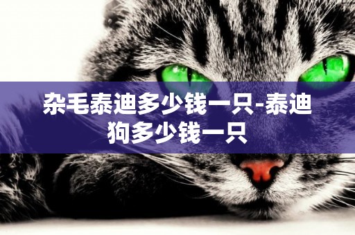 雜毛泰迪多少錢一只-泰迪狗多少錢一只