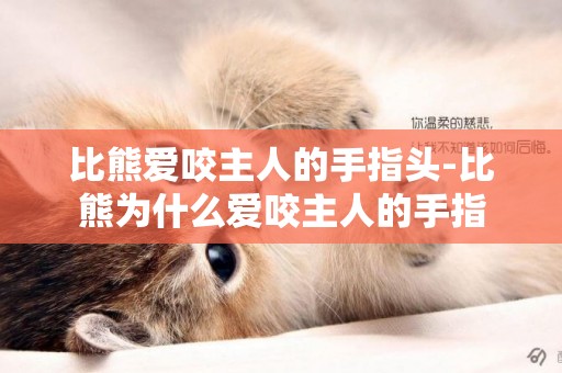 比熊愛咬主人的手指頭-比熊為什么愛咬主人的手指