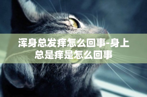 渾身總發癢怎么回事-身上總是癢是怎么回事