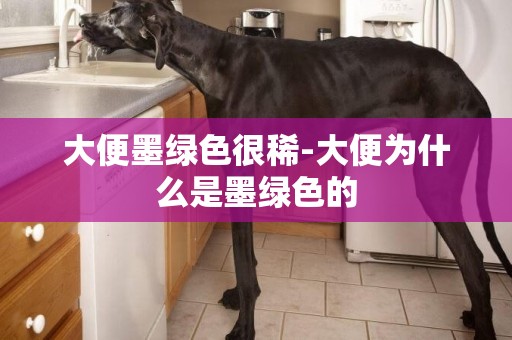 大便墨綠色很稀-大便為什么是墨綠色的