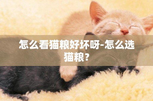 怎么看貓糧好壞呀-怎么選貓糧？