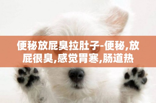 便秘放屁臭拉肚子-便秘,放屁很臭,感覺胃寒,腸道熱