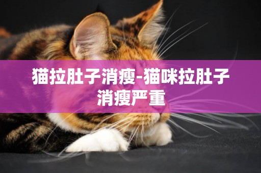 貓拉肚子消瘦-貓咪拉肚子消瘦嚴重