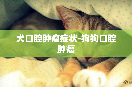 犬口腔腫瘤癥狀-狗狗口腔腫瘤