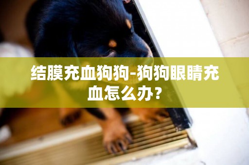 結膜充血狗狗-狗狗眼睛充血怎么辦？