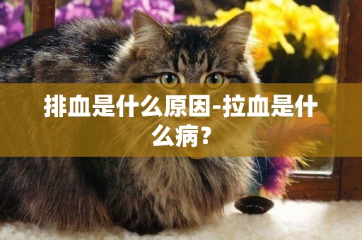 排血是什么原因-拉血是什么病？
