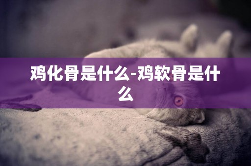 雞化骨是什么-雞軟骨是什么