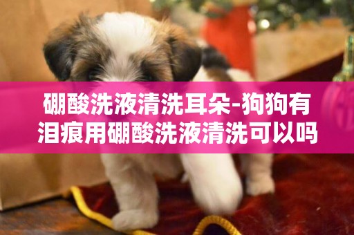硼酸洗液清洗耳朵-狗狗有淚痕用硼酸洗液清洗可以嗎硼酸洗液可以洗狗狗淚痕嗎？