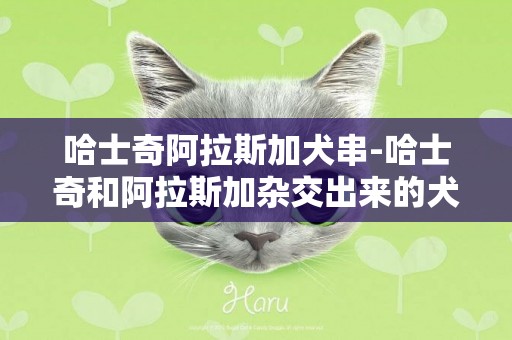哈士奇阿拉斯加犬串-哈士奇和阿拉斯加雜交出來的犬的模樣？