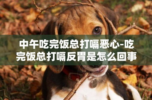 中午吃完飯總打嗝惡心-吃完飯總打嗝反胃是怎么回事啊？