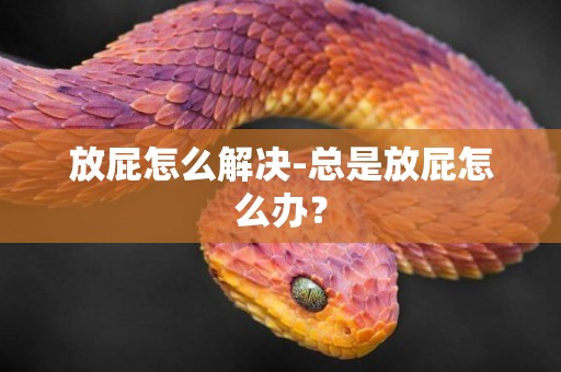放屁怎么解決-總是放屁怎么辦？