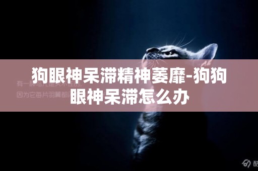 狗眼神呆滯精神萎靡-狗狗眼神呆滯怎么辦