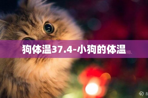 狗體溫37.4-小狗的體溫