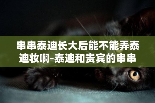 串串泰迪長大后能不能弄泰迪妝啊-泰迪和貴賓的串串幼犬是什么樣子，長大后會不會變