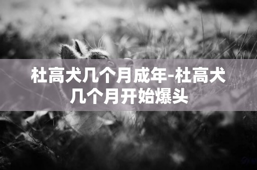 杜高犬幾個月成年-杜高犬幾個月開始爆頭
