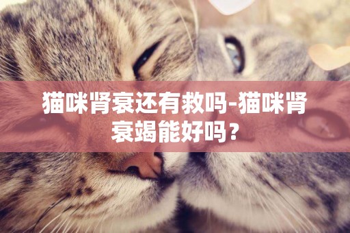 貓咪腎衰還有救嗎-貓咪腎衰竭能好嗎？