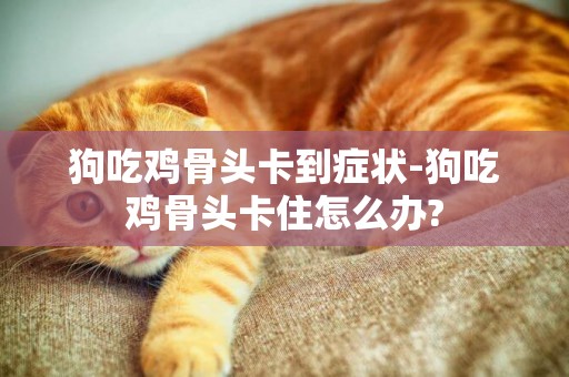 狗吃雞骨頭卡到癥狀-狗吃雞骨頭卡住怎么辦?