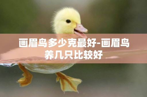 畫眉鳥多少克最好-畫眉鳥養幾只比較好