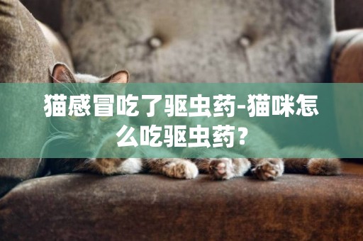 貓感冒吃了驅蟲藥-貓咪怎么吃驅蟲藥？