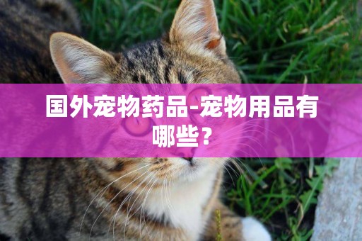 國外寵物藥品-寵物用品有哪些？