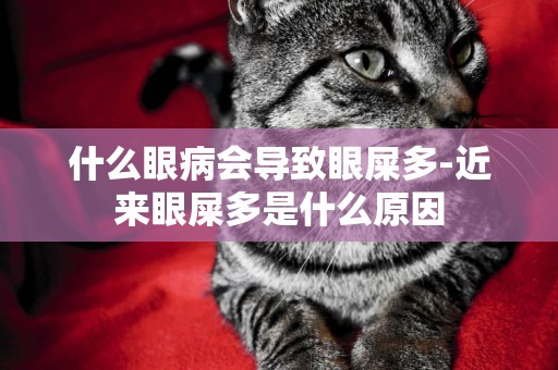 什么眼病會導致眼屎多-近來眼屎多是什么原因
