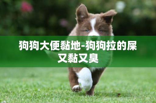 狗狗大便黏地-狗狗拉的屎又黏又臭