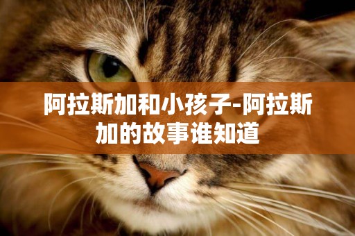 阿拉斯加和小孩子-阿拉斯加的故事誰知道