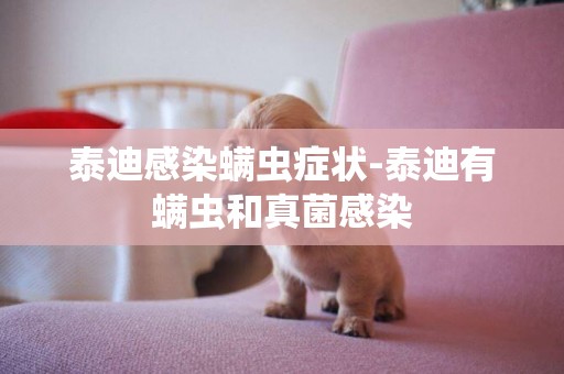 泰迪感染螨蟲癥狀-泰迪有螨蟲和真菌感染