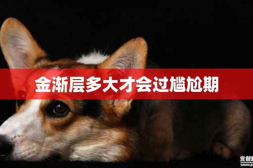 金漸層多大才會過尷尬期