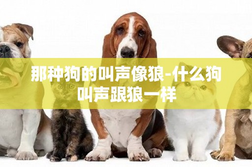 那種狗的叫聲像狼-什么狗叫聲跟狼一樣