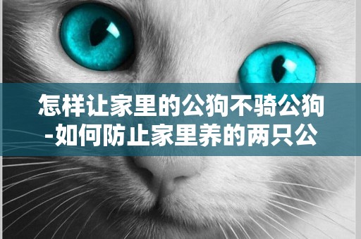 怎樣讓家里的公狗不騎公狗-如何防止家里養的兩只公狗打架
