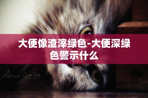 大便像渣滓綠色-大便深綠色警示什么