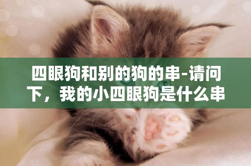 四眼狗和別的狗的串-請問下，我的小四眼狗是什么串的