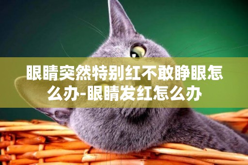 眼睛突然特別紅不敢睜眼怎么辦-眼睛發紅怎么辦