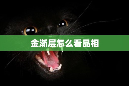 金漸層怎么看品相