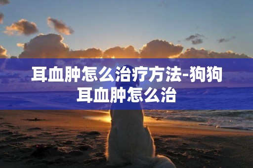耳血腫怎么治療方法-狗狗耳血腫怎么治