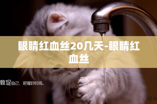 眼睛紅血絲20幾天-眼睛紅血絲