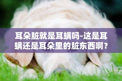 耳朵臟就是耳螨嗎-這是耳螨還是耳朵里的臟東西啊？