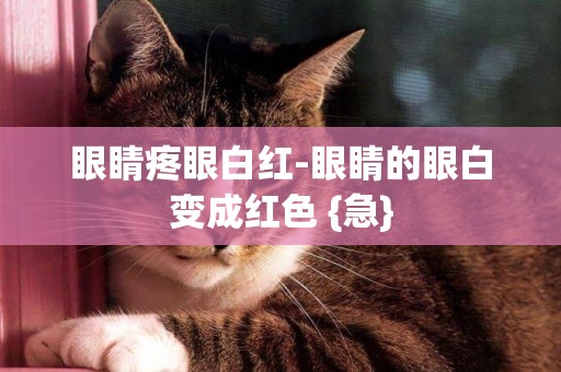 眼睛疼眼白紅-眼睛的眼白變成紅色 {急}